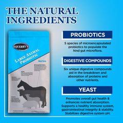 Flacon Equerry's Probiotiques pour gros animaux, enzymes digestives incluses.