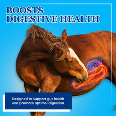 Sac dosage Equerry's Probiotiques pour gros animaux, dosage facile.