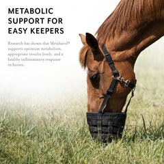 Équithrive Metabarol cheval pâturage: cheval au pâturage avec soutien métabolique potentiel