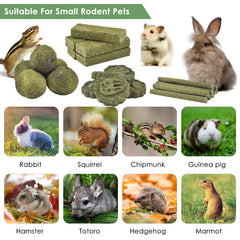 ERKOON formes diverses: incite curiosité et exploration chez vos petits animaux.