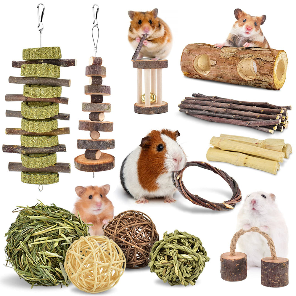 ERKOON: jouet dents escabeau arbre-pomme, stimule la mastication et l’activité du petit animal.