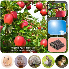 ERKOON Jouets-Grignage Petits Animaux – stimulation mentale et dentition.