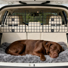 Barrière ERYTLLY pour chien en voiture – réglable et installation rapide