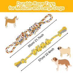 ETACCU corde dentition chien naturel en coton, nettoyage en douceur.
