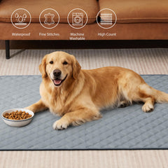 Eterish tapis absorbant réutilisable, idéal pour chiots et chiens.