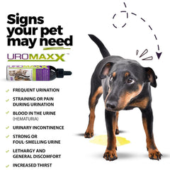 UroMAXX étiquette naturelle, ingrédients cranberry et glucosamine pour le bien-être urinaire.
