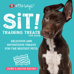 etta says! paquet de 16 onces - friandises porc-bacon doux, pratique pour les séances et les promenades.