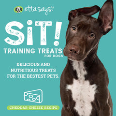 etta says! session d'entraînement pour chiens avec friandises au fromage tendre.