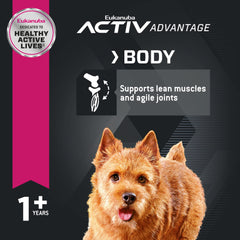 Soutien musculaire et articulaire potentiel avec glucosamine et chondroïtine