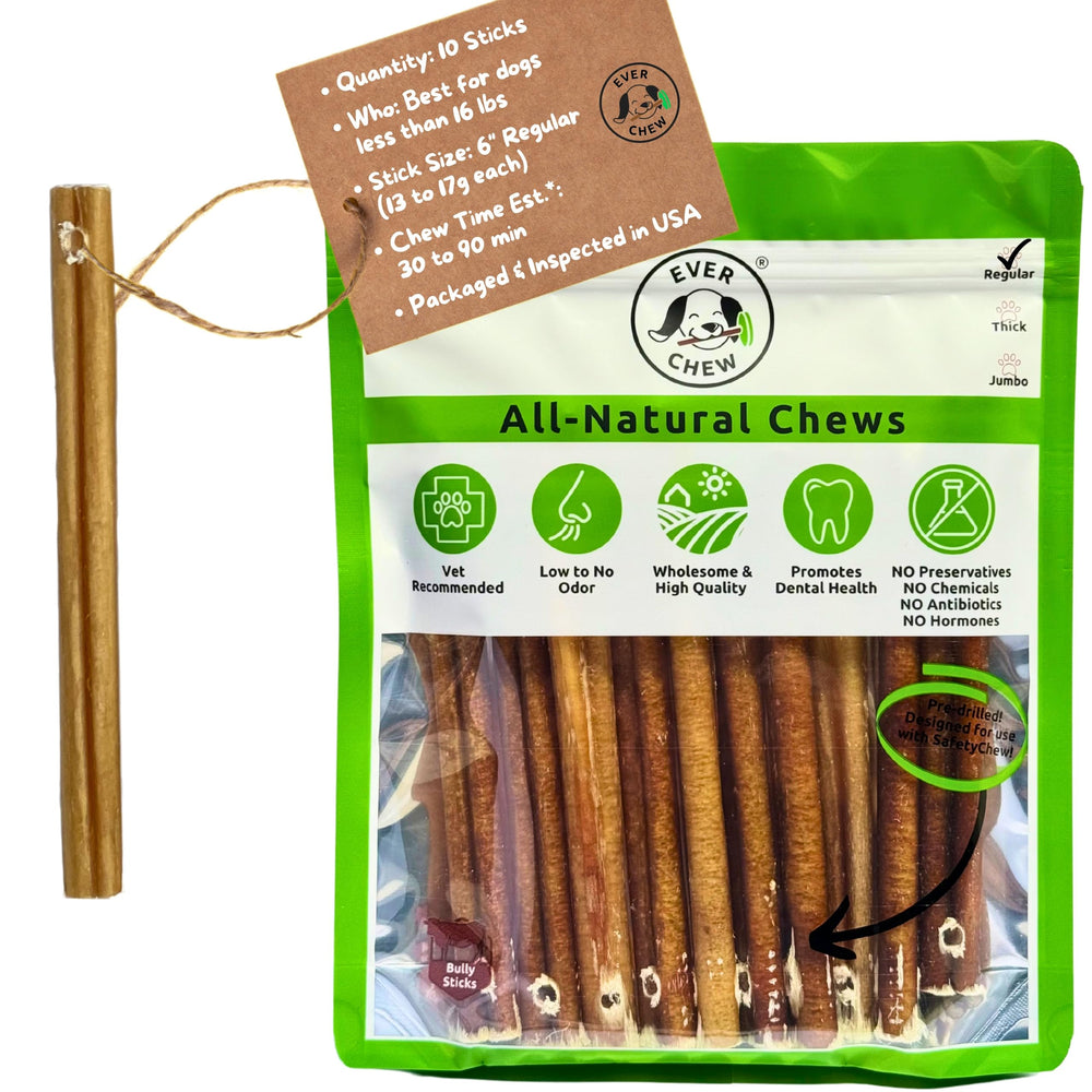 EverChew recharges bâton bully 6 pouces, lot de 10, idéal pour une mastication régulière.