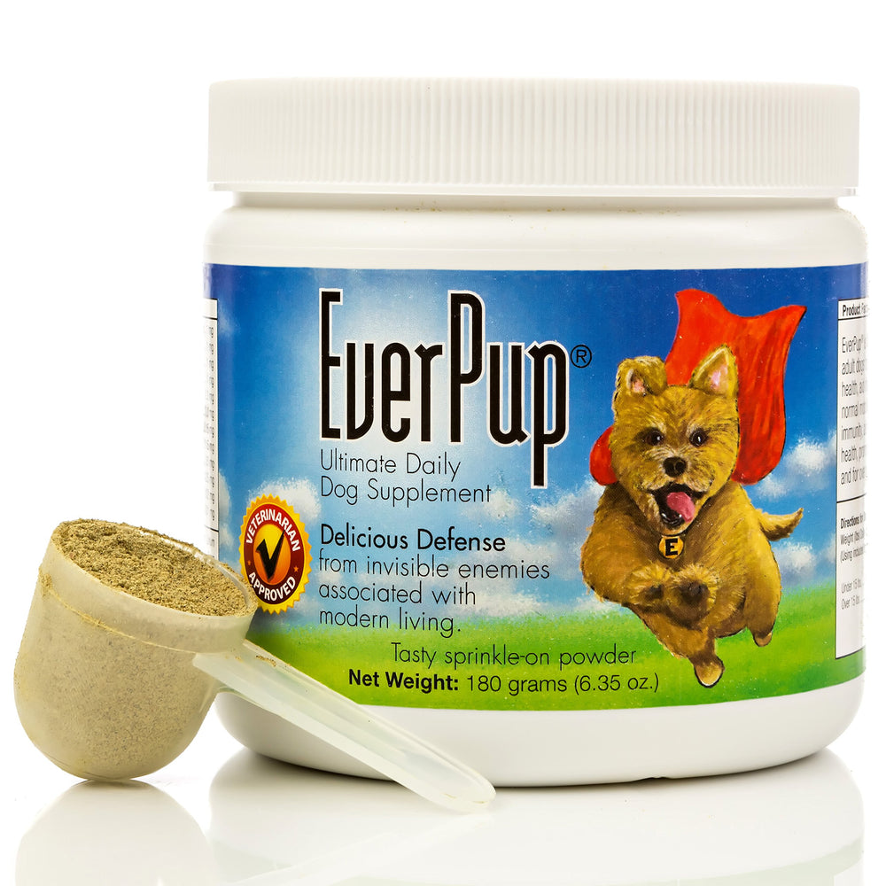 EverPup poudre-glucosamine: soutien potentiel des articulations et goût apprécié des chiens.