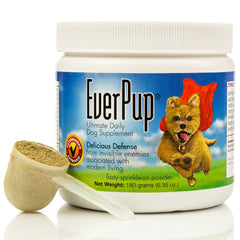 EverPup poudre-glucosamine: soutien potentiel des articulations et goût apprécié des chiens.