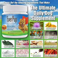 EverPup poudre-probiotiques: favorise une flore intestinale robuste pour chien.