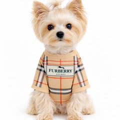 Everything Chic t-shirt chien luxe : gros plan coton pour toucher doux et agréable.
