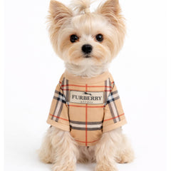 Everything Chic t-shirt chien luxe : vue portée petit chien pour ajustement confortable.