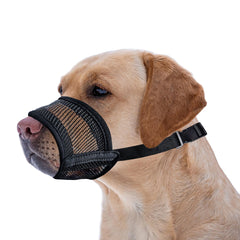 Evollax museau chien maillage aérien xl pour une respirabilité durable