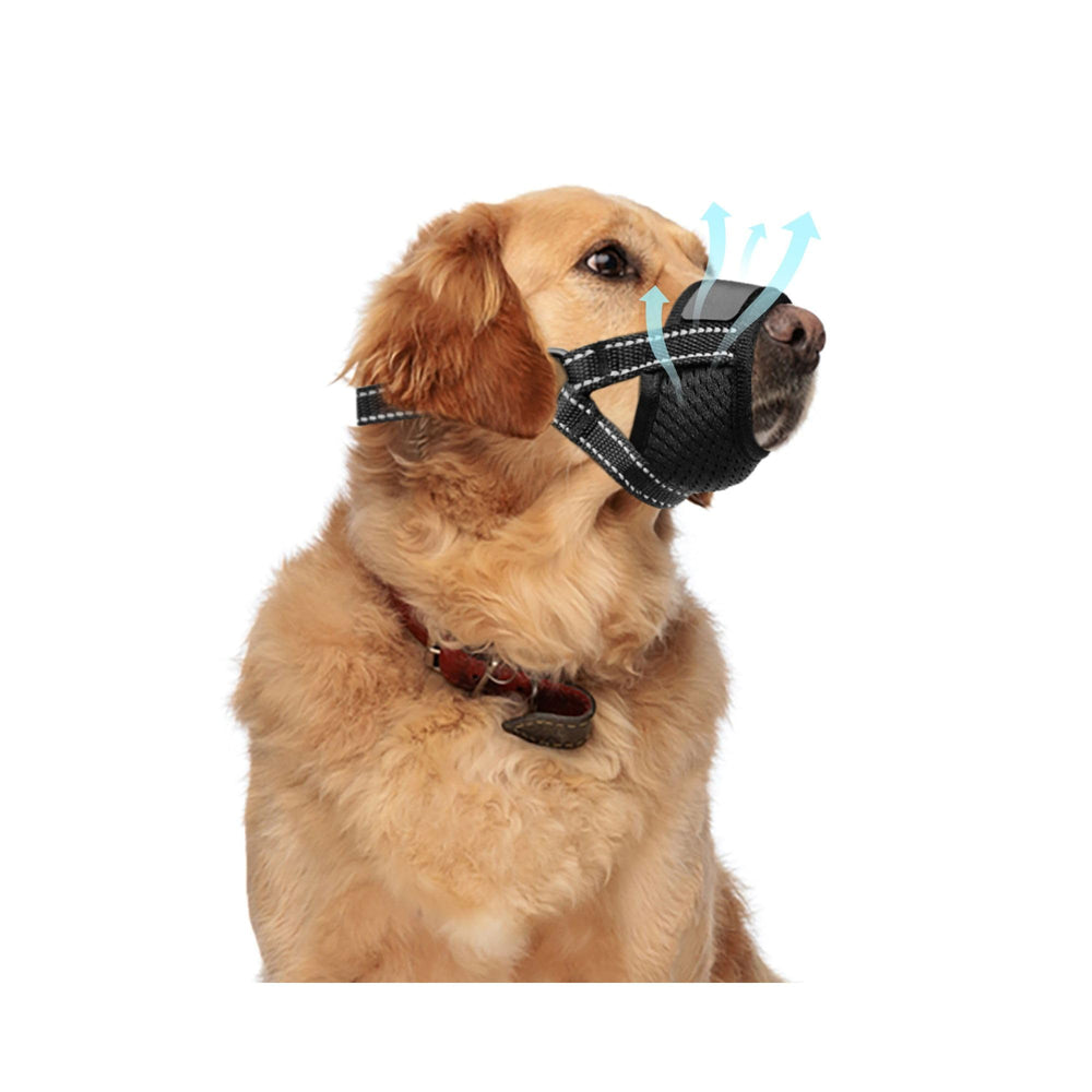 Muselière Evollax pour chien au design respirant offrant un confort continu.