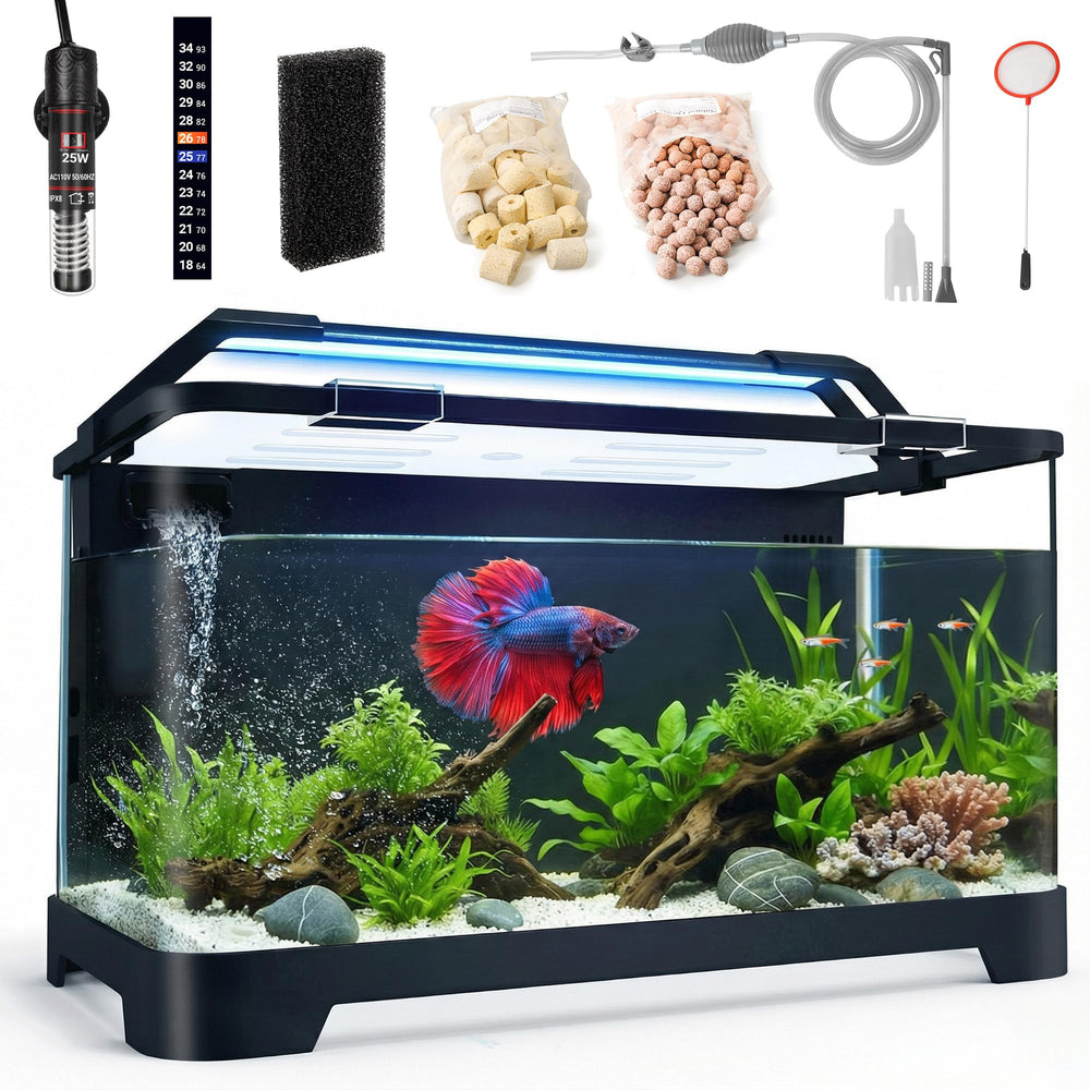 eWonLife Betta Tank ensemble démarrage, prêt pour démarrer facilement.