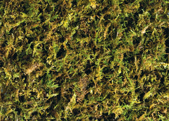 Terrarium utilisant Exo Terra Forest Plume Moss pour augmenter l'humidité