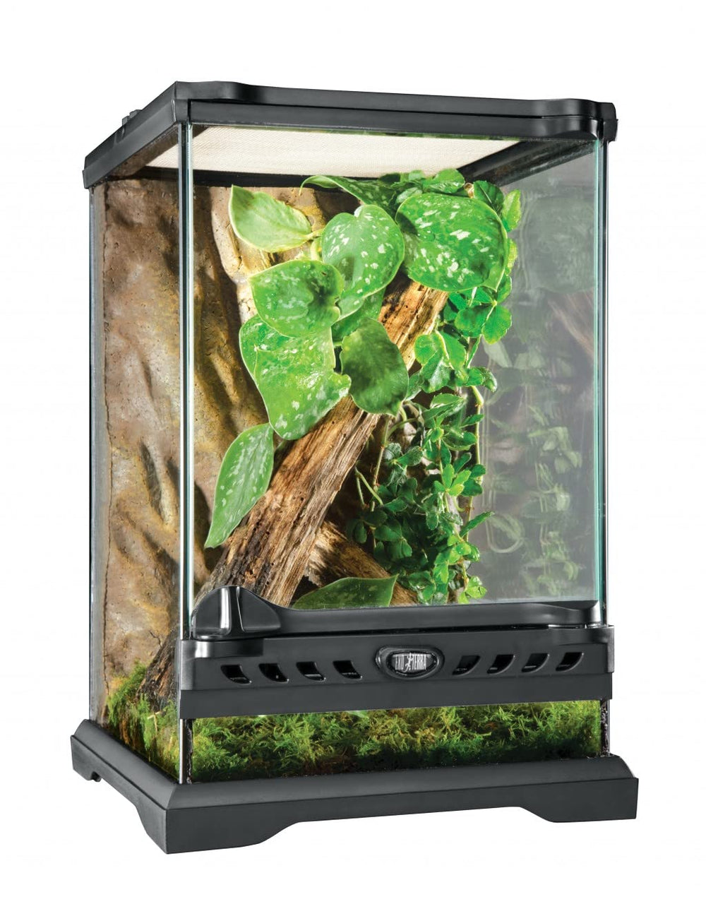 Exo Terra Glass Nano Terrarium avec porte-avant facilitant entretien et nourrissage.