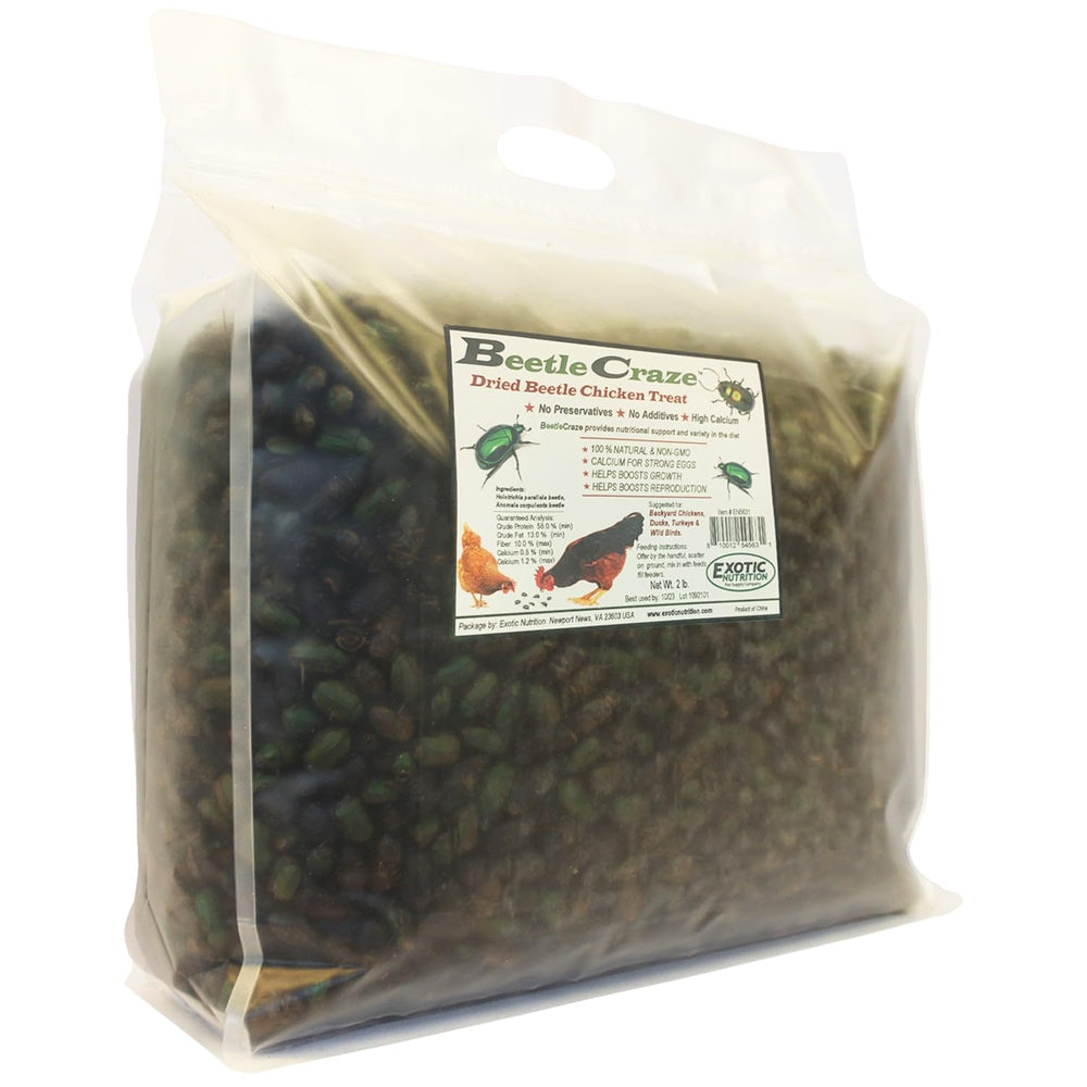 Exotic Nutrition Beetle Craze, emballage clair et pratique.