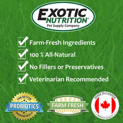 Exotic Nutrition: cubes de foin de Timothy pour l'usure dentaire des petits animaux.