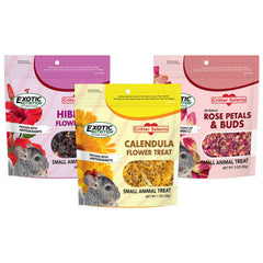 Exotic Nutrition : fleurs d’hibiscus pour un apport coloré et stimulant.