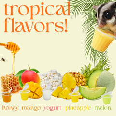 Nectar Pods Exotic Nutrition: douceur fruitée adaptée aux écureuils et petits oiseaux