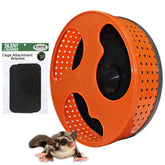 Exotic Nutrition: roue silencieuse 12 pouces pour exercice discret et fluide