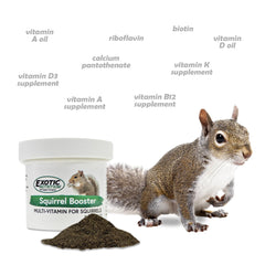 Exotic Nutrition Squirrel Booster – probiotiques: équilibre intestinal possible pour l'écureuil.