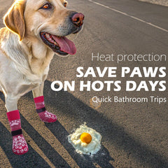EXPAWLORER bottes pour chien offrent une traction fiable sur les sols durs.