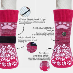 Bottes EXPAWLORER de protection des pattes pour chien en extérieur.
