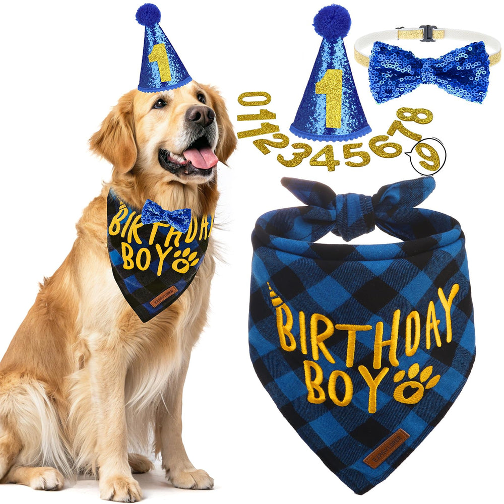 EXPAWLORER chapeau anniversaire chien, accessoire festif pour des photos mémorables.