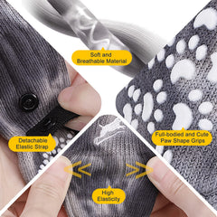EXPAWLORER protection des pattes contre chaleur et surfaces rugueuses.