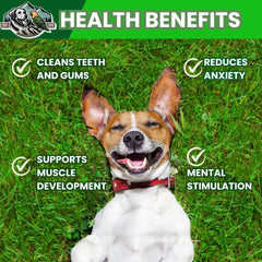Exquisite Pets oreilles porc rôti conforme HACCP pour chiens