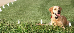 Extreme Dog Fence – revêtement HMW polyethylene protège UV et eau pour durabilité.