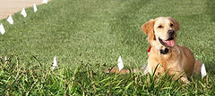 Extreme Dog Fence: gaine 30 mil protège contre UV et eau installation durable