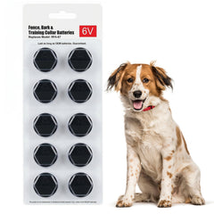 Extreme Dog Fence emballage pack 10 piles RFA67 prêt à remplacer