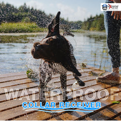 Extreme Dog Fence - sondes confort avec protections pour ajustement doux