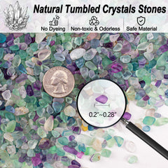 Éclats fluorite EZEELAI – petits cailloux 5-7mm pour plantes et terrariums.