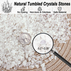 EZEELAI quartz clair chips petits décor terrarium, translucide et élégant.