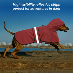 Manteau Ezierfy pour chien, facile à nettoyer