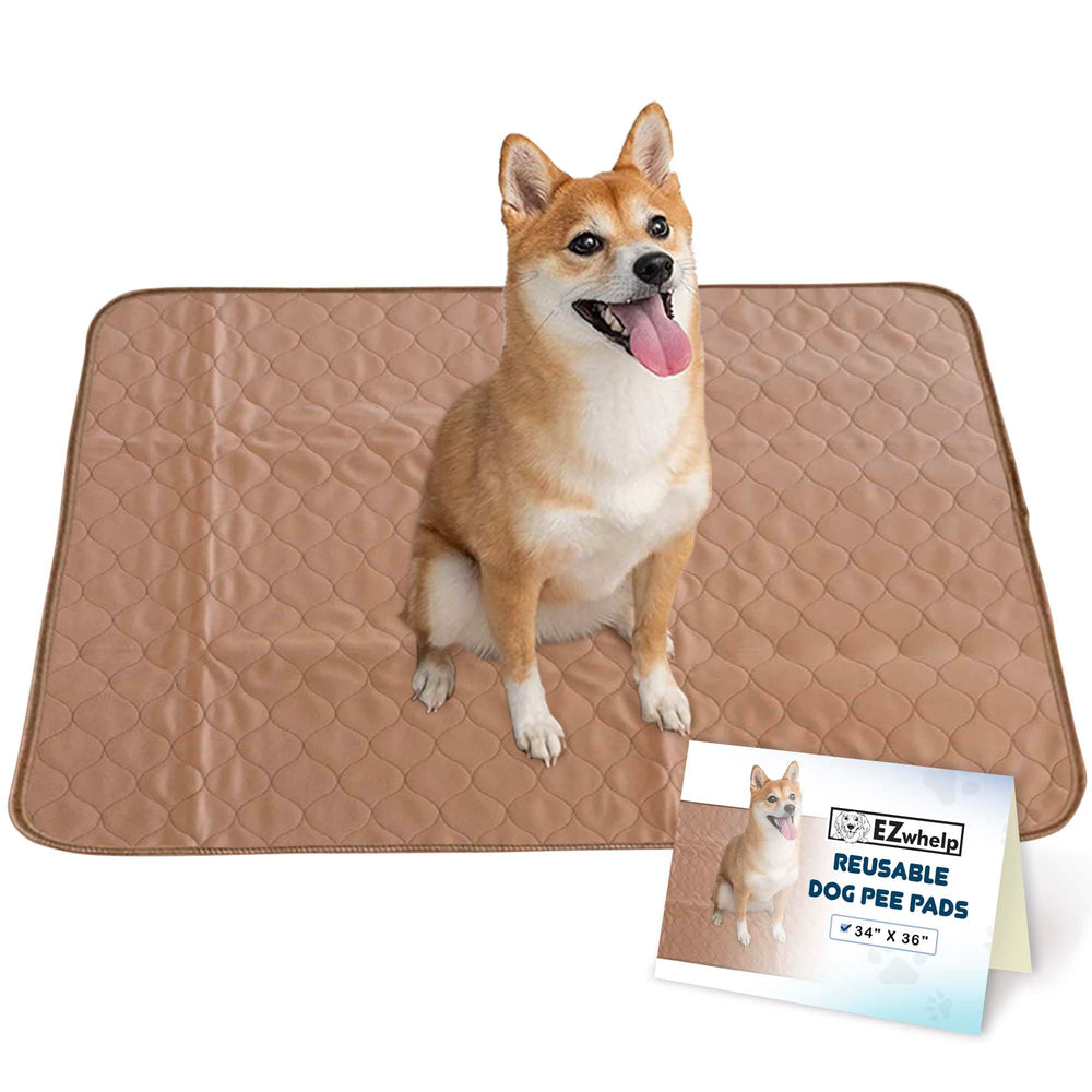 EZwhelp tapis absorbants pour chien, surface douce et efficace pour les besoins quotidiens.