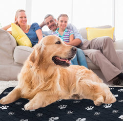 EZwhelp tapis dans une boîte de whelping pour chiots.