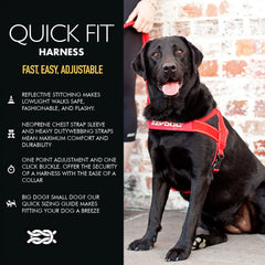 Harnais EzyDog Quick Fit boucle à clic rapide pour sorties faciles