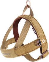 Harnais EzyDog Quick Fit sans tirage pour controle fluide en promenade.