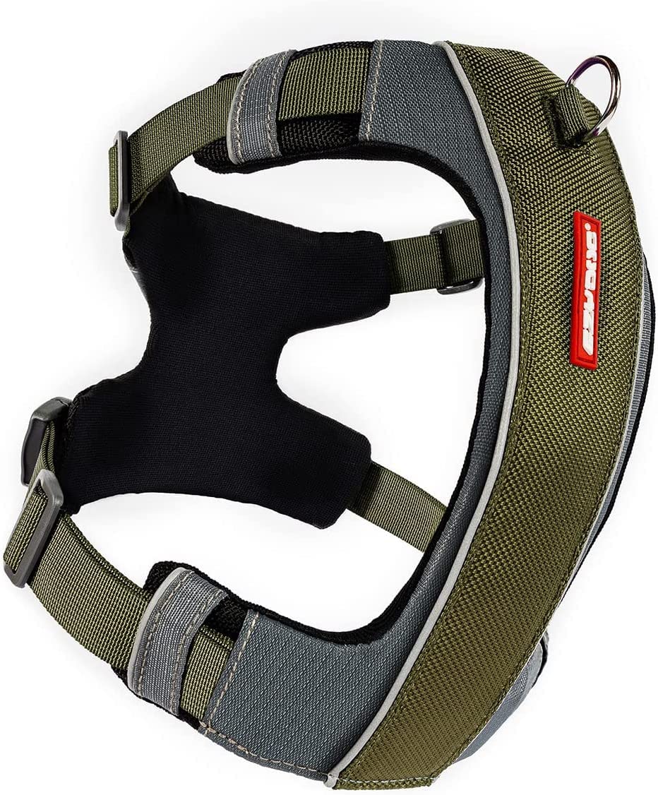 Harnais EzyDog X-Link avec attache avant pour un contrôle précis lors de l'entraînement.