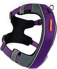 Harnais EzyDog X-Link avec attache avant pour un contrôle précis lors des promenades.