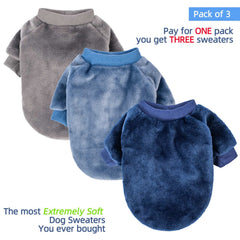 FabriCastle pull petit chien bleu, maintien chaleureux et style chic.