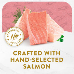 Fancy Feast Appetizers : bouillon délicat sublimant le saumon pour chats curieux.